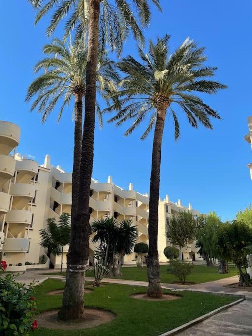 Cactus Appartement